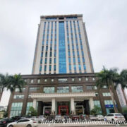 Chu dau tu nam cuong ha noi